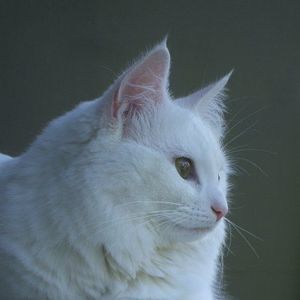 Meet your Posher, Mary-jo